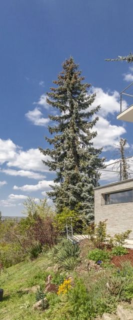 Mirador Balaton Design Villa Balatonakarattya