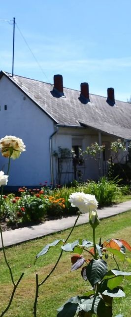 Kézműves Udvar Vendégház Murakeresztúr