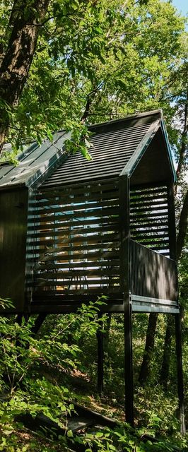 Fekete Rigó Noszvaj