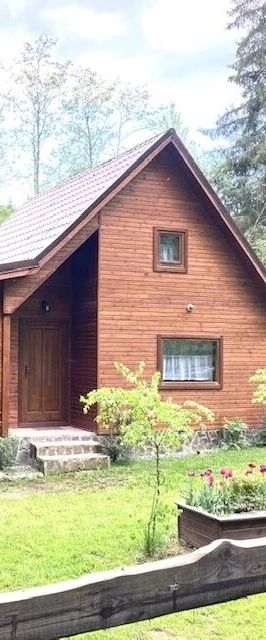 Casa de vacanță Pin Borzont