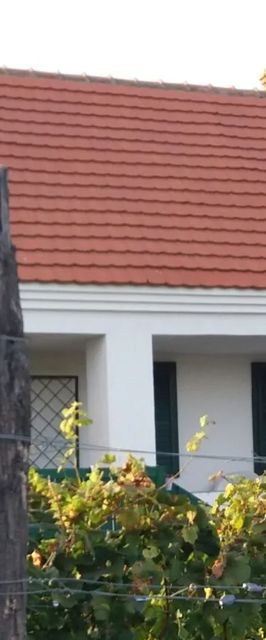 Szent Márton Vendégház Somló Doba