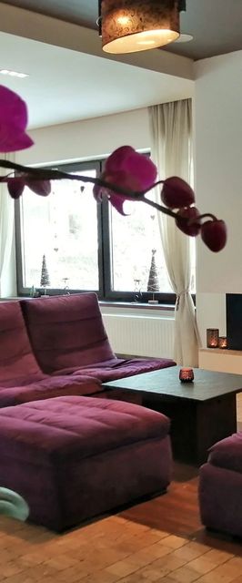 Pensiunea GreenHill Brașov