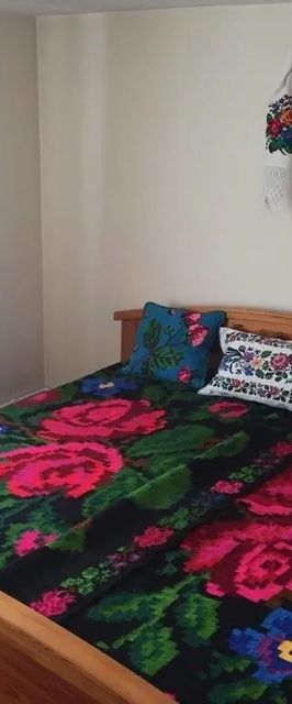 Cabana Coasta cu Izvoare Borșa