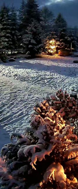 Cabana Súgótöve Izvoare