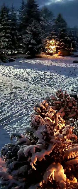 Cabana Súgótöve Izvoare