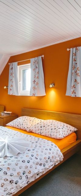 Chata Ťapka Malá Úpa