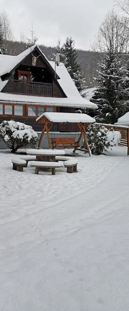 Cabana Cerbul de Aur Sub Cetate