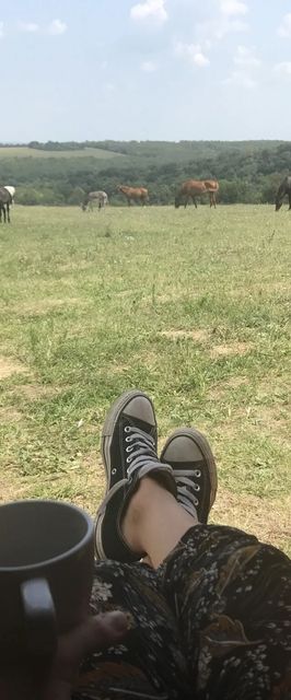 Dharma Mentett Állatok Kertje Bungalók & Farmping Siófok