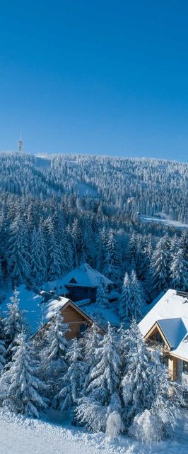 Ski Chalet Klinovec Loučná pod Klínovcem