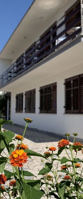 Apartmani Volarić Šilo