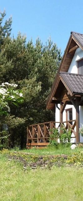 Domek w Sosnowym Lesie - Sauna