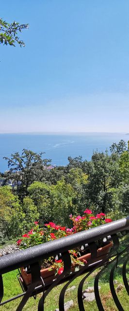 Apartment Delost Lovran