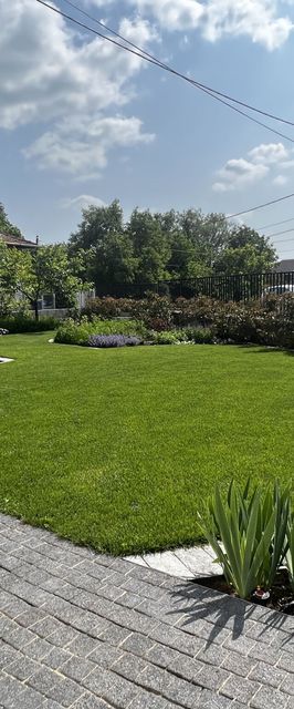 Neon Apartman Csopak