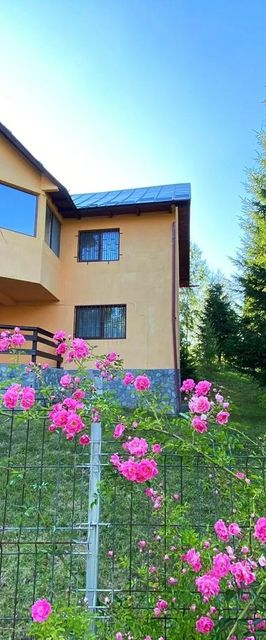 Casa Ionel si Dani Fundata