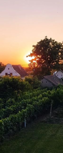 Takács Pince Apartman Hajós