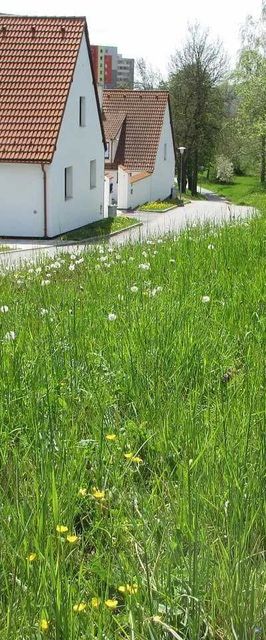 Apartmány U Procházků Český Krumlov