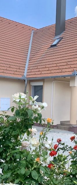 Gitta Apartman 1. Bük