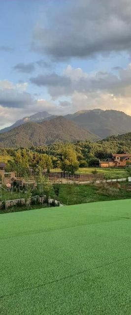 Bungee Jumping Friends Râșnov