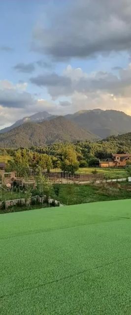 Bungee Jumping Friends Râșnov