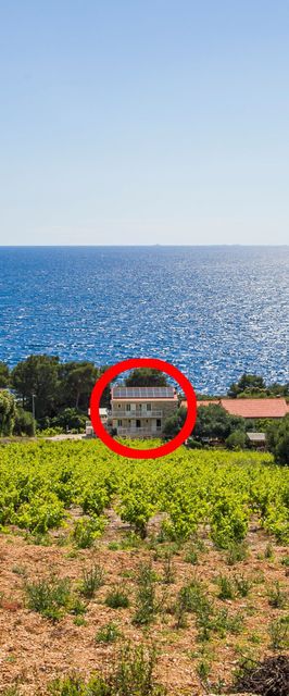 Családi Apartmanok A Tenger Mellett Dingac - Borak, Peljesac - 18060 Dingač - Borak