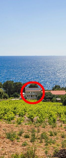 Családi Apartmanok A Tenger Mellett Dingac - Borak, Peljesac - 18060 Dingač - Borak