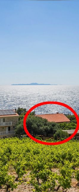Családi Apartmanok A Tenger Mellett Dingac - Borak, Peljesac - 18065 Dingač - Borak