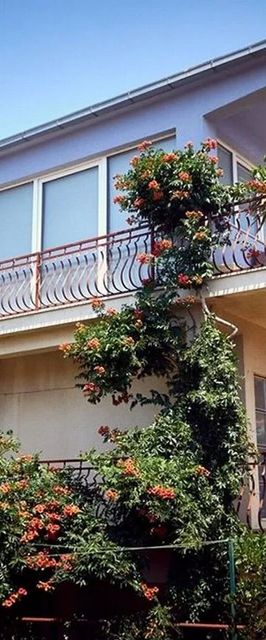 Apartmanok A Tenger Mellett Vinisce, Trogir - 18225 Vinišće