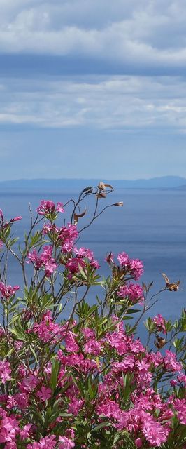 Nyaralóház Parkolóhellyel Lokva Rogoznica, Omis - 18247 Lokva Rogoznica