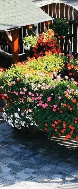 Casa de vacanță Sepsi Relax Sfântu Gheorghe