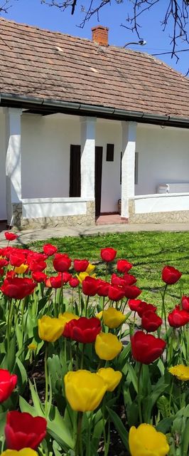 Szira Porta Vendégház Hollókő