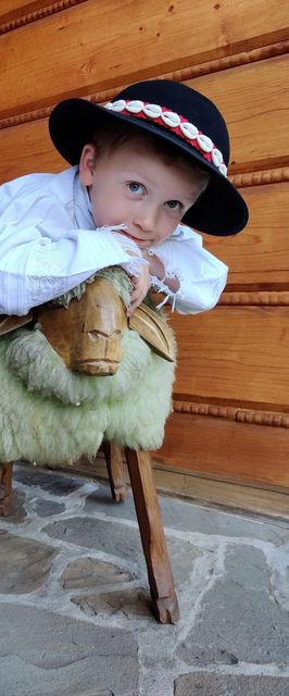 Domki u Jacka Sauna & Relax z widokiem na góry Zakopane