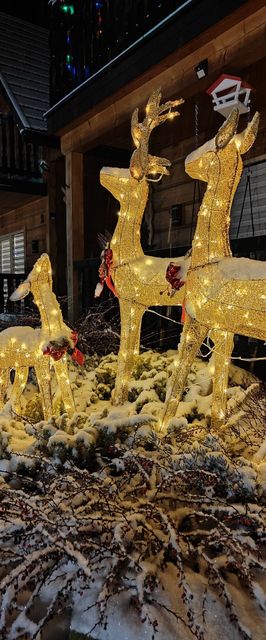 Domki u Jacka Sauna & Relax z widokiem na góry Zakopane