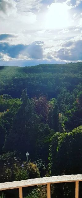 Forrás Hegyi Apartman Felsőörs