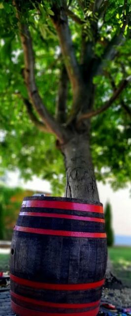 Cosa-Nostra Apartman Hajdúszoboszló