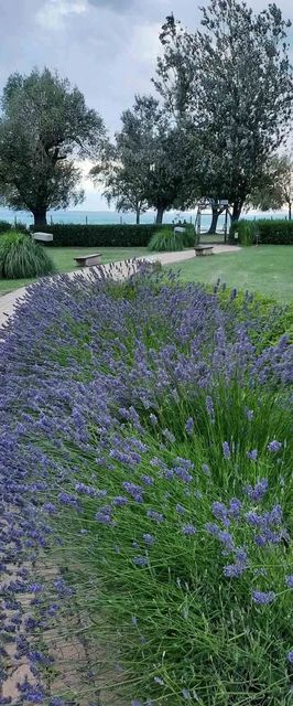 Aranykuckó Apartman Siófok