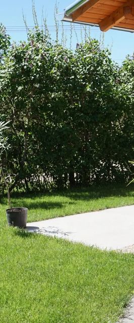 Béke-Liget Apartman Tiszafüred