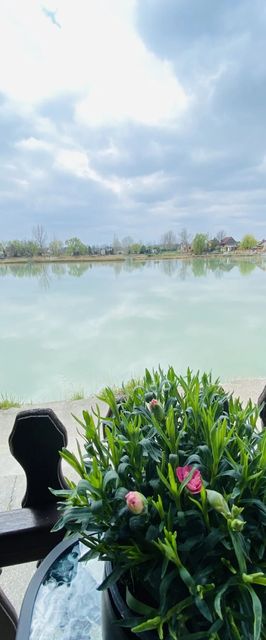 Házitó Apartman Cegléd