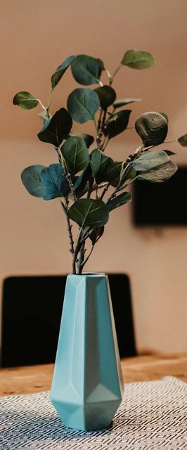 Apartman Wagrain - ASA143