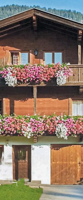 Apartman Reith im Alpbachtal - ATI191