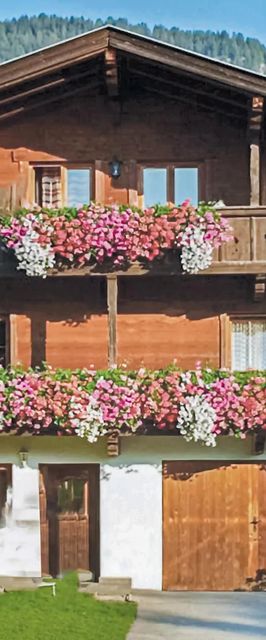 Apartman Reith im Alpbachtal - ATI191