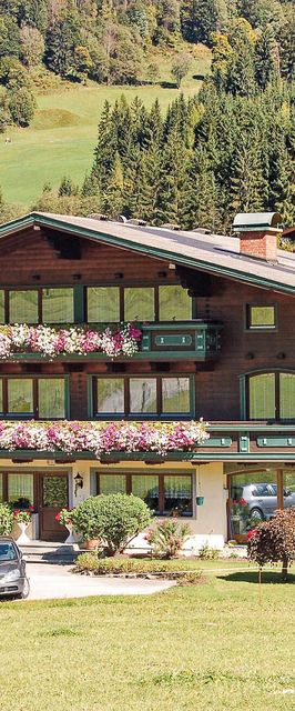 Apartman Flachau - ASA355