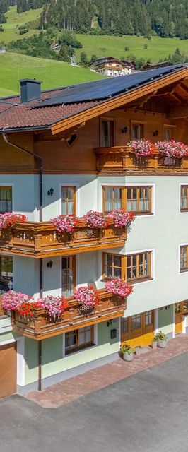 Apartman Grossarl - ASA683