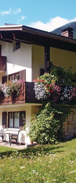 Apartman Sankt Gallenkirch - AVO076