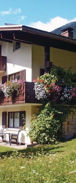 Apartman Sankt Gallenkirch - AVO076