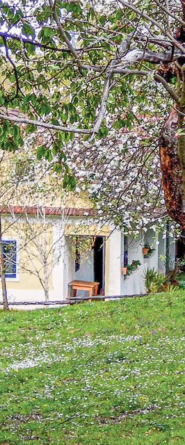 Vendégház Gerersdorf - ABU139