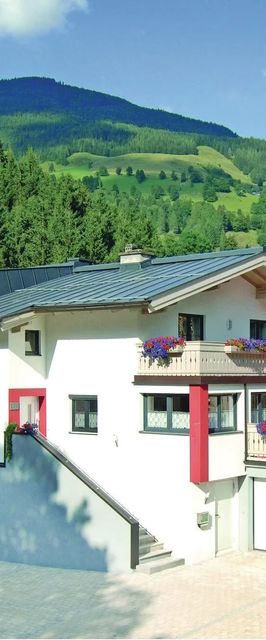 Apartman Viehhofen - ASA940
