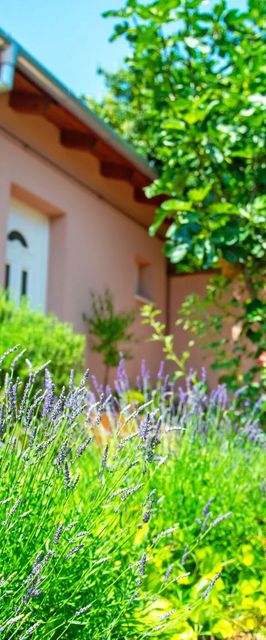 Ginkgo Vendégház Pécs