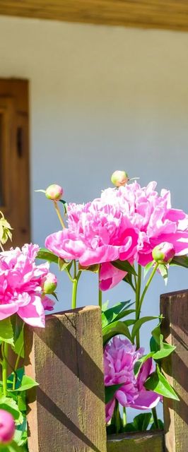 Lóci Palócház Vendégház Nagylóc