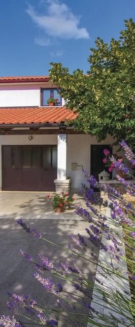 Apartman Pazin - CIC218