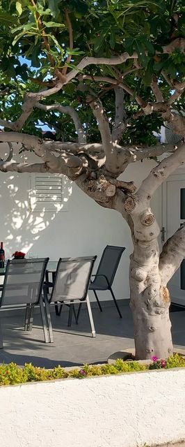 Apartman Ražanac - CDZ398